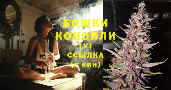 сатива Сосновка